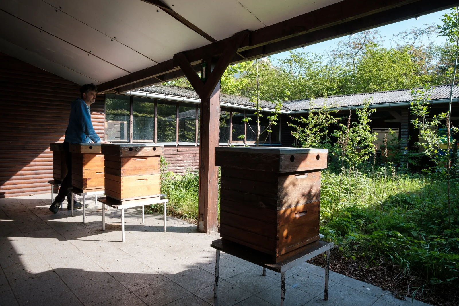 Science buildings and outdoor spaces at Campus Sterre
